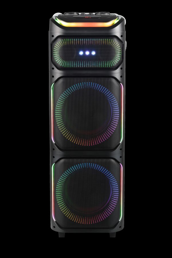 Dual 12 Inch Party Speaker RS-T1288DS