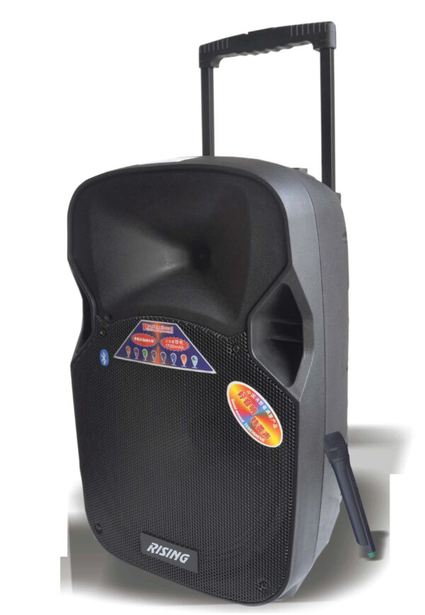 Digital Karaoke Amplifier RS-T20